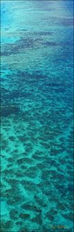 Great Barrier Reef  - QLD V (PBH4 00 14828)